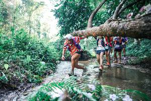 BIB: 
                            <button type="button" onclick="openModal(25445029)" class="btn btn-primary btn-sm float-right btn-popup" data-toggle="modal" data-target=".modal-high-quality">
                        <i class="fas fa-shopping-cart"></i> Add to Cart
                    </button>
                                            <button type="button" onclick="isThisMe(25445029, true)" class="btn btn-success btn-sm float-right btn-popup btn-isme hidden" data-toggle="tooltip" data-placement="bottom" title="นี่คือรูปของคุณใช่ไหม คลิกที่นี่เพื่อเอาเข้าอัลบั้ม">
                        <i class="fas fa-plus"></i> Add to album
                    </button>
                    <button type="button" onclick="isThisMe(25445029, false)" class="btn btn-warning btn-sm float-right btn-popup btn-isnotme hidden">
                        <i class="fas fa-ban"></i> Remove from album
                    </button>